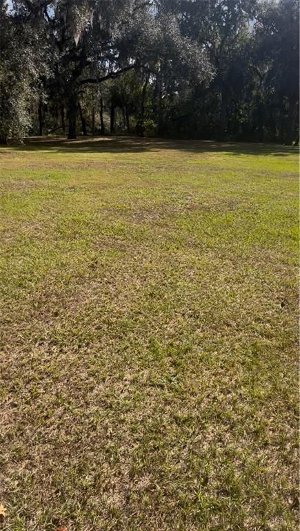 A grassy, open lot is bordered by a line of mature trees in the background — COCONUT COVE PL, VALRICO, FL