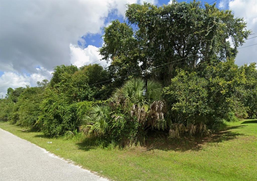 A dense cluster of trees and palm bushes grows along the edge of a paved road — Lot 14 BLUERY AVENUE, NORTH PORT, FL