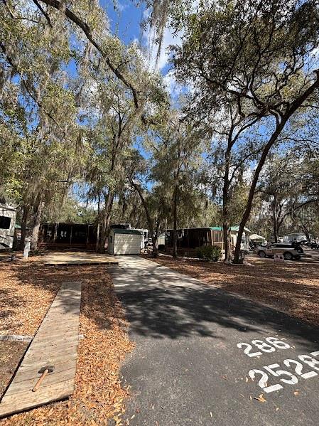 A paved driveway leads to a small shed and mobile homes under large oak trees — 25287 NE 139TH LANE UNIT 286, SALT SPRINGS, FL