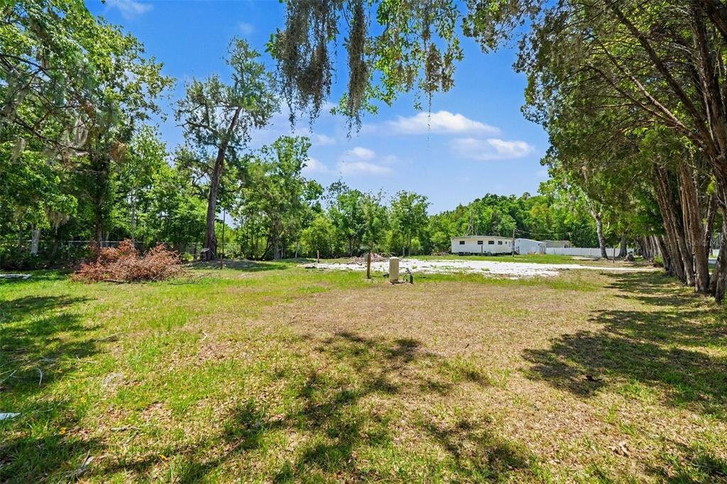 A grassy, partially wooded lot features a small white structure in the background — 1346 SIERRA PINES BLVD, LUTZ, FL