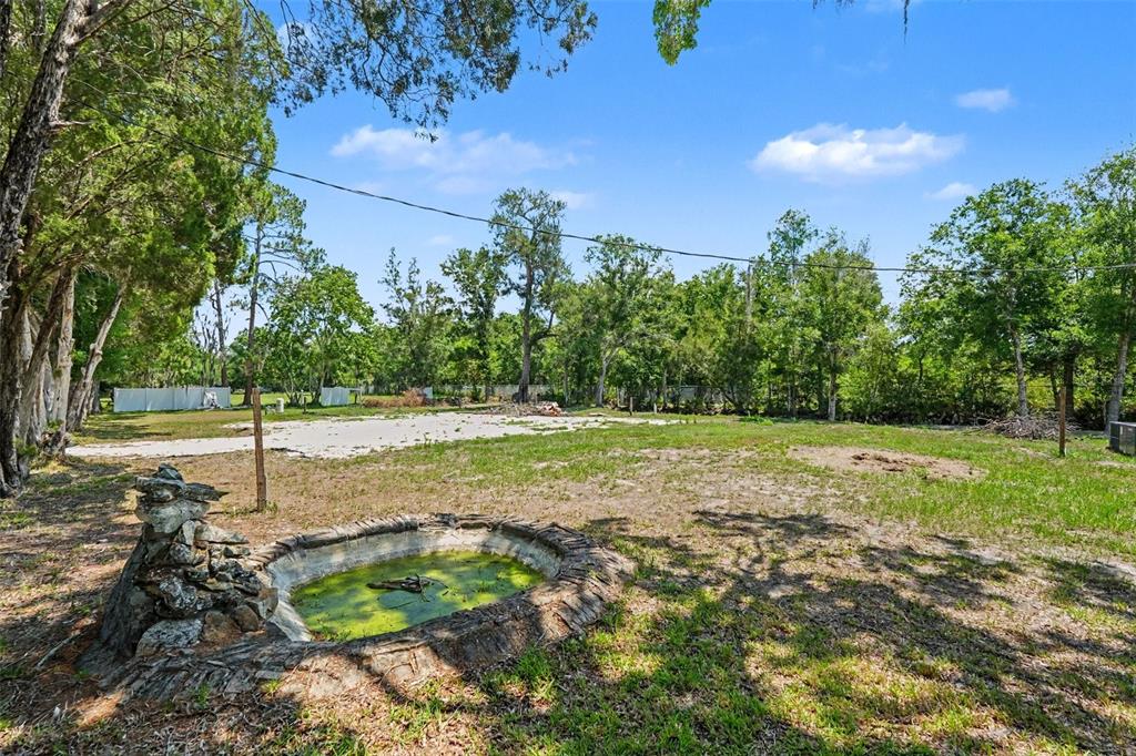 A small stone-rimmed pond sits in the foreground of a large, grassy, tree-lined backyard — 1346 SIERRA PINES BLVD, LUTZ, FL
