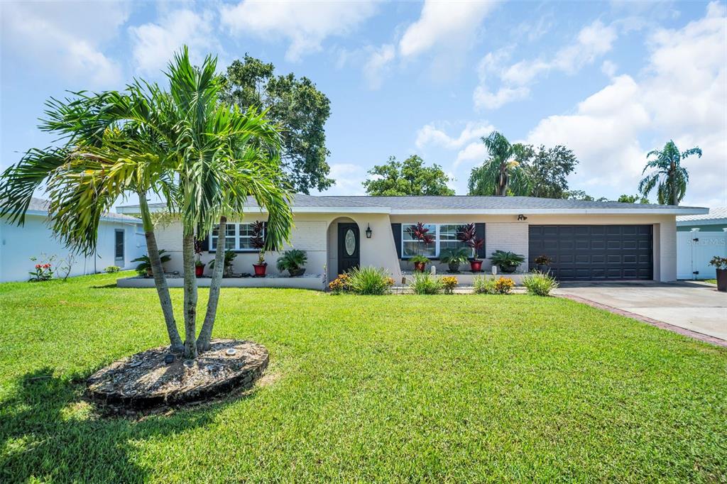 2019 MAGNOLIA DRIVE