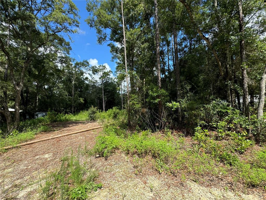 A wooded, undeveloped lot features a sandy clearing and a long, horizontal wooden pole — NW 58TH PLACE, CHIEFLAND, FL