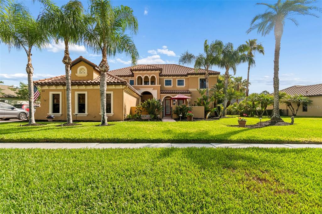 A two-story stucco house with a tile roof and palm trees in the front yard — 3654 BALLASTONE DRIVE, LAND O LAKES, FL
