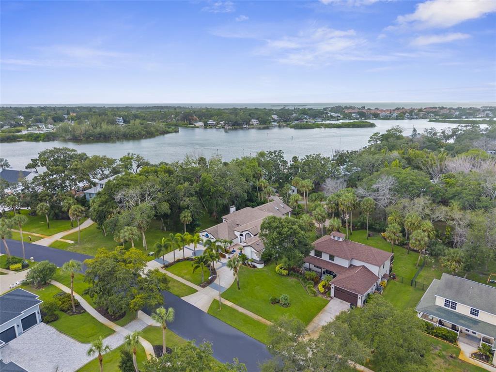 A single-story house with a white exterior, a multi-car garage, and palm trees at dusk — 1705 MEYERS COVE DRIVE, TARPON SPRINGS, FL