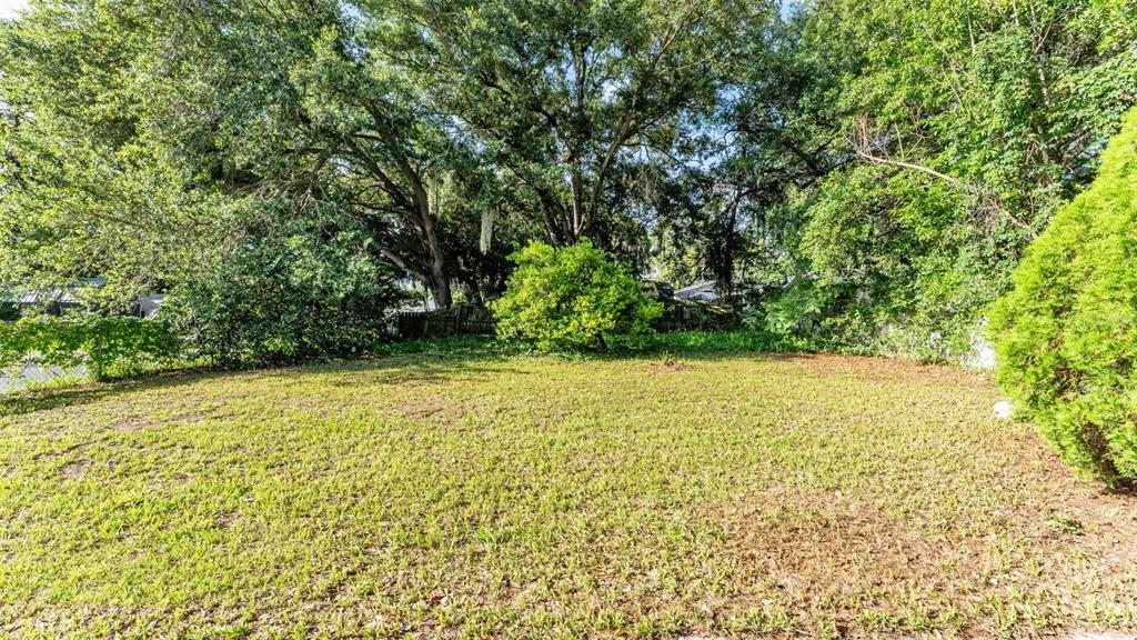 A grassy backyard features a large, mature tree and dense perimeter foliage — 861 E LOWELL STREET, LAKELAND, FL