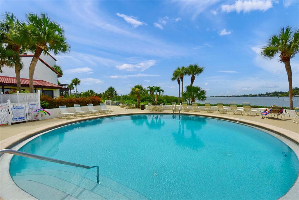 A circular swimming pool sits on a patio overlooking a body of water with palm trees — 1630 STICKNEY POINT ROAD UNIT 101, SARASOTA, FL