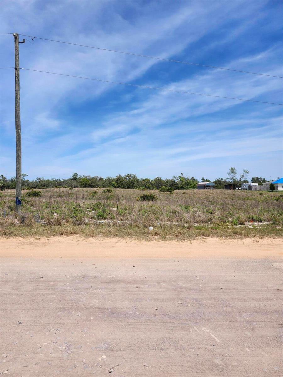 Lot 30 Fazzini Road, Lake Wales FL 33898