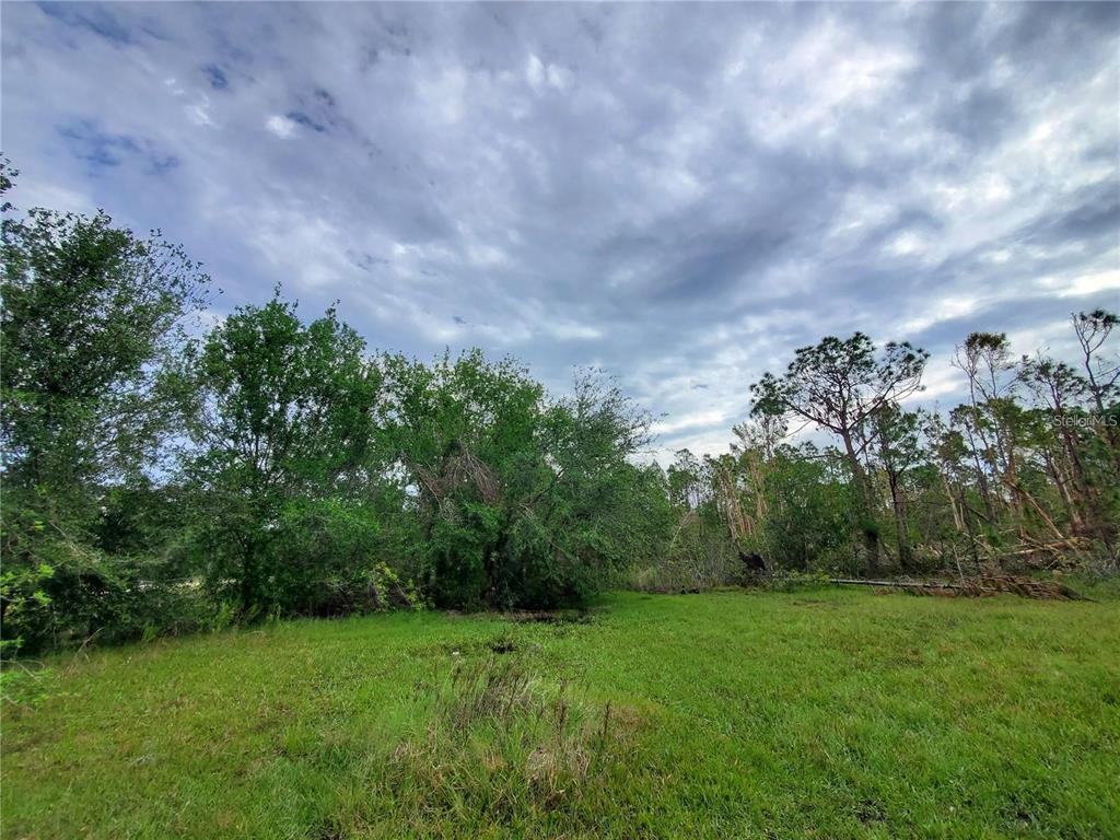 28275 MORNINGSIDE DRIVE, PUNTA GORDA, FL — photo 5 of 17