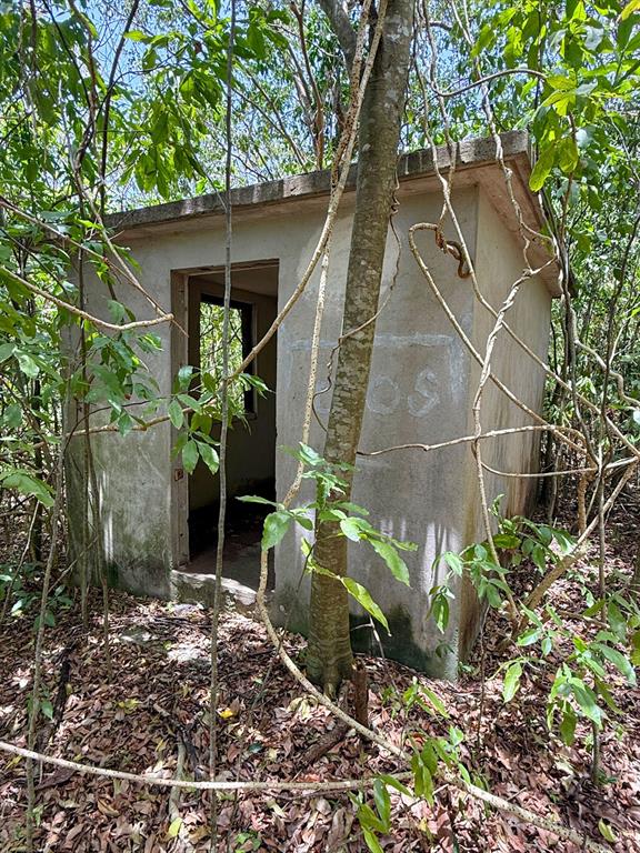A small, weathered concrete structure stands abandoned in a wooded area with dense foliage — 55 CALLE DE BATU, VIEQUES, PR