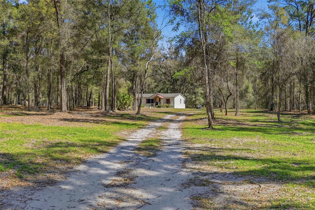 A single-story house sits at the end of a long dirt driveway through a forest — 1131 SW 166TH STREET, NEWBERRY, FL