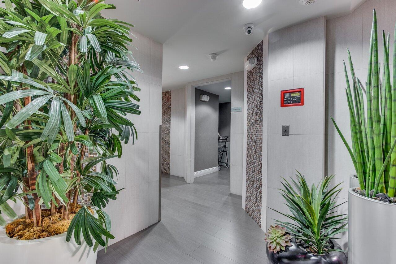 A hallway with light-colored tile walls, a decorative mosaic accent, and several potted plants — 235 NE 1st Street # 504, Delray Beach FL 33444, DELRAY BEACH, FL