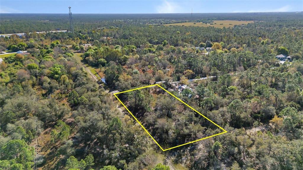 An aerial view shows a rectangular plot of land outlined in yellow amidst a wooded area — 13142 BANYAN DRIVE, PUNTA GORDA, FL