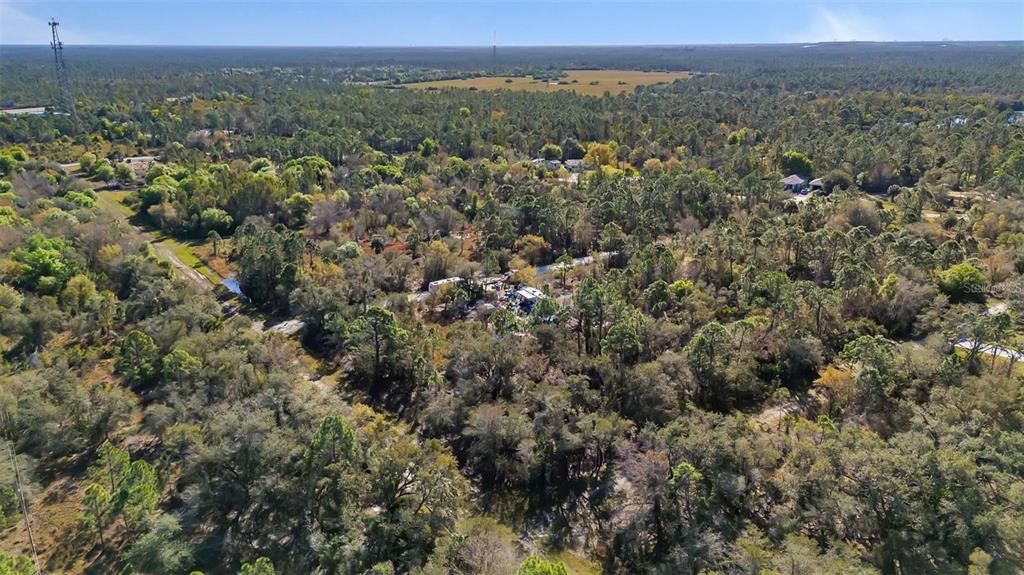 An aerial view shows a wooded lot with a small clearing containing a trailer — 13142 BANYAN DRIVE, PUNTA GORDA, FL