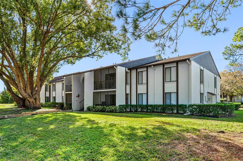 A two-story apartment building with white stucco siding, screened balconies, and a large oak tree — 2642 PINE RIDGE WAY S UNIT G2, PALM HARBOR, FL