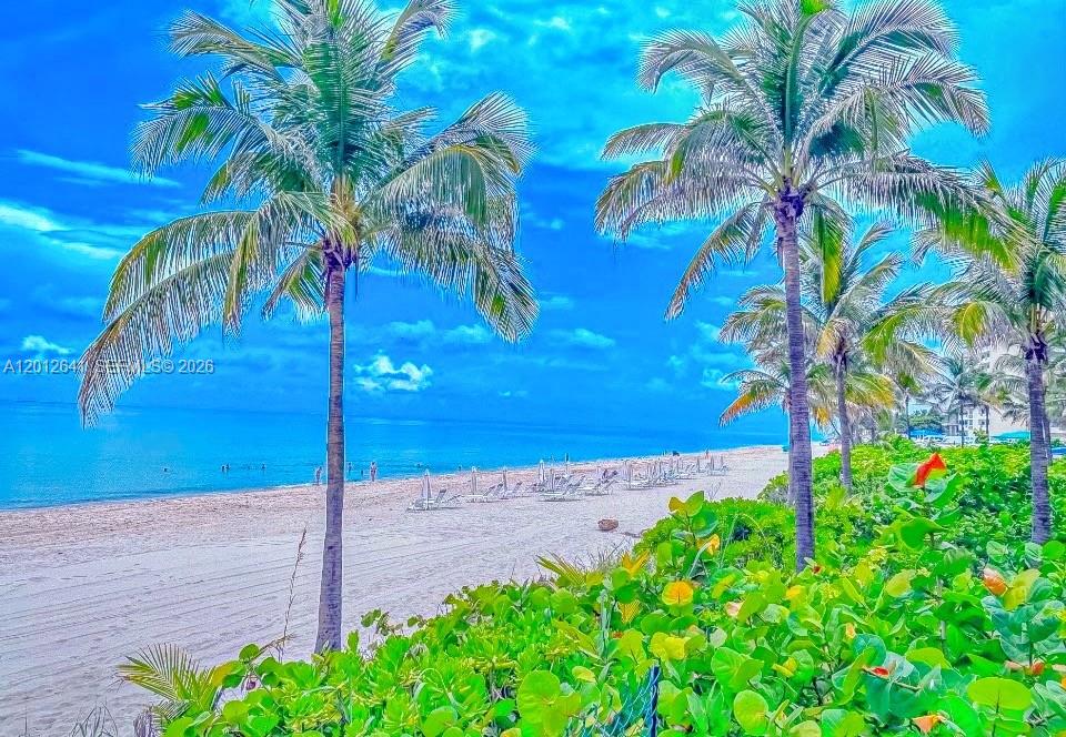 A sandy beach with palm trees and lounge chairs under a bright blue sky — 2030 S Ocean Dr # 309, Hallandale Beach FL 33009, HALLANDALE BEACH, FL