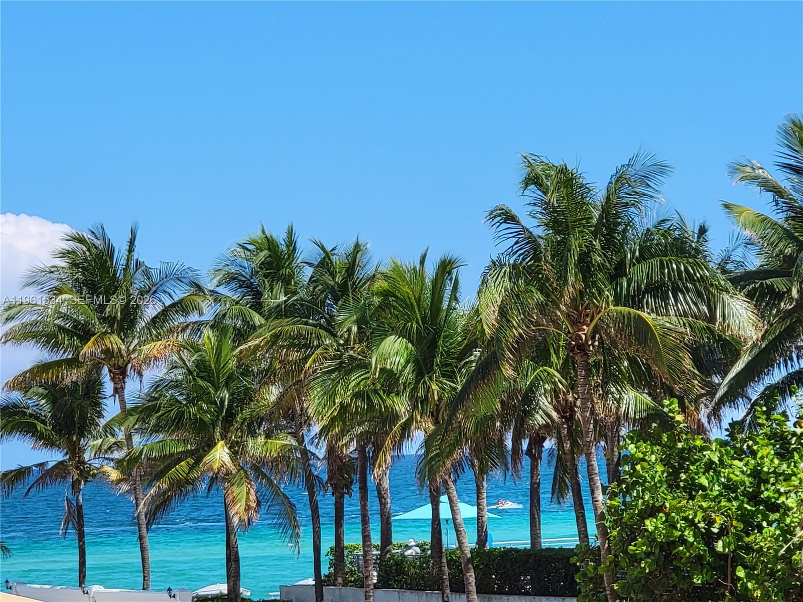 A view of palm trees overlooking a bright blue ocean under a clear sky — 3505 S Ocean Dr # 218, Hollywood FL 33019, HOLLYWOOD, FL