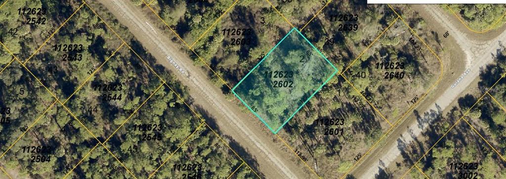 This is an aerial map showing a highlighted rectangular plot of land — BIGNAY ROAD, NORTH PORT, FL