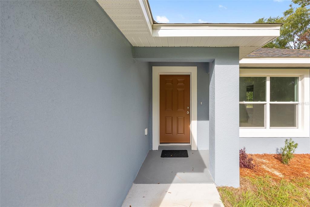 A brown front door is set into a blue stucco exterior wall under a covered porch — 1913 SW DEERPARK HEIGHTS ROAD, DUNNELLON, FL