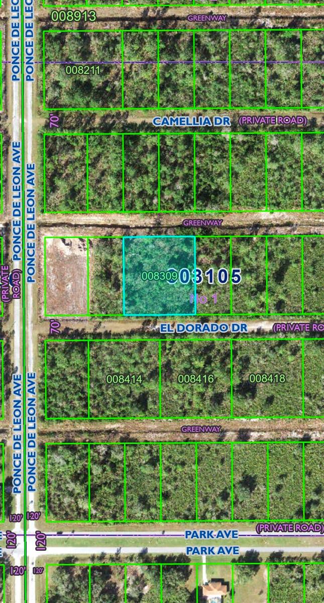 This is a map showing a highlighted rectangular land parcel surrounded by other wooded lots — 0 El Dorado Drive, FL 33855, FL