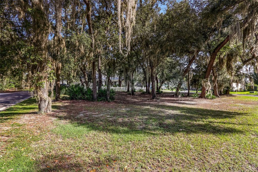 A grassy, wooded lot with Spanish moss hanging from large oak trees — 28963 Grandview Manor, FL 32097, FL