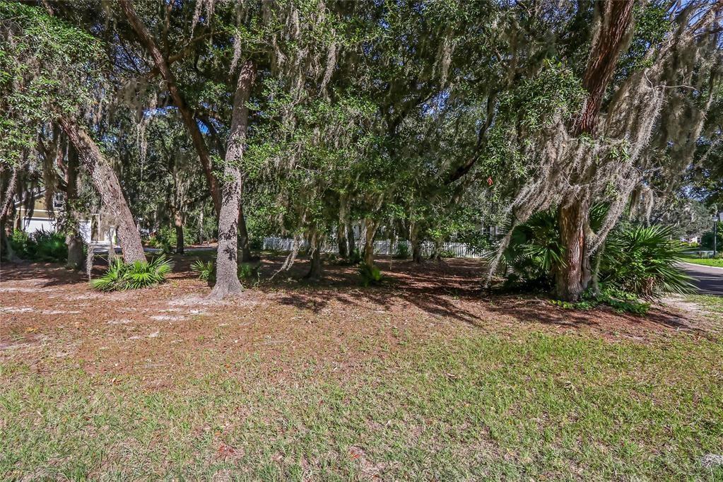 A wooded lot with mature trees draped in Spanish moss and a white picket fence — 28963 Grandview Manor, FL 32097, FL