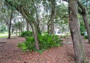 A wooded yard features mature oak trees with Spanish moss and low-growing palmetto bushes — 28963 Grandview Manor, FL 32097, FL