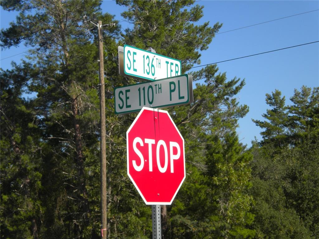 A stop sign stands below two street signs at an intersection surrounded by pine trees — LOT14 SE 136 TH TERRACE, DUNNELLON, FL