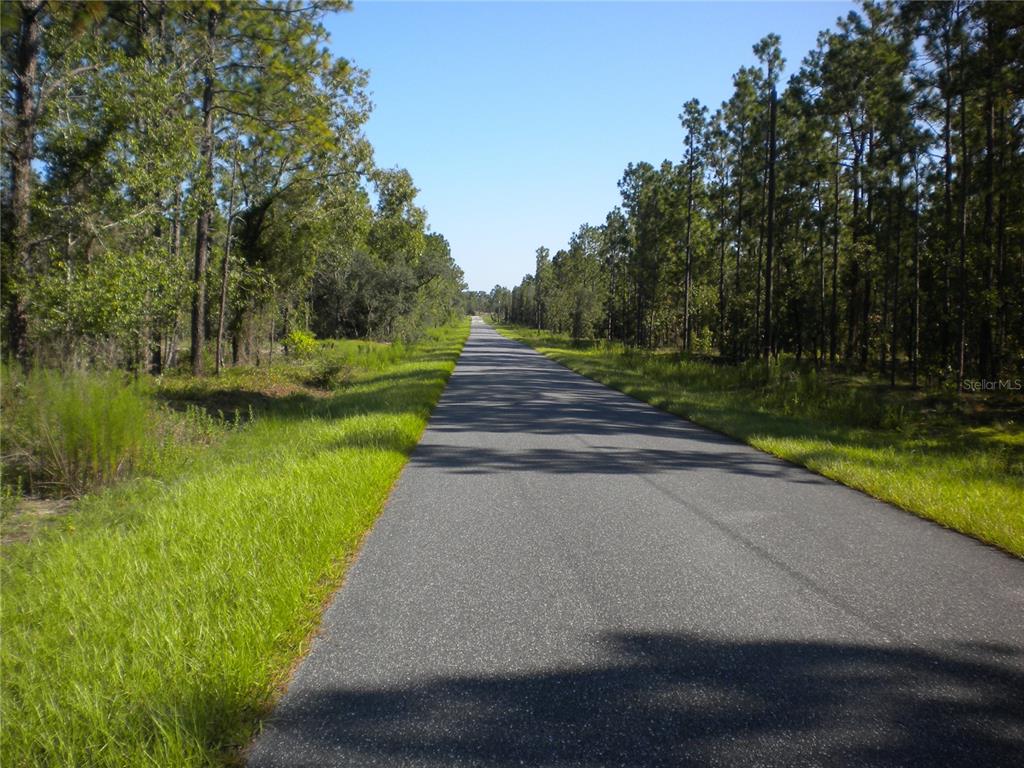 A narrow paved road stretches through a wooded area under a clear blue sky — LOT14 SE 136 TH TERRACE, DUNNELLON, FL