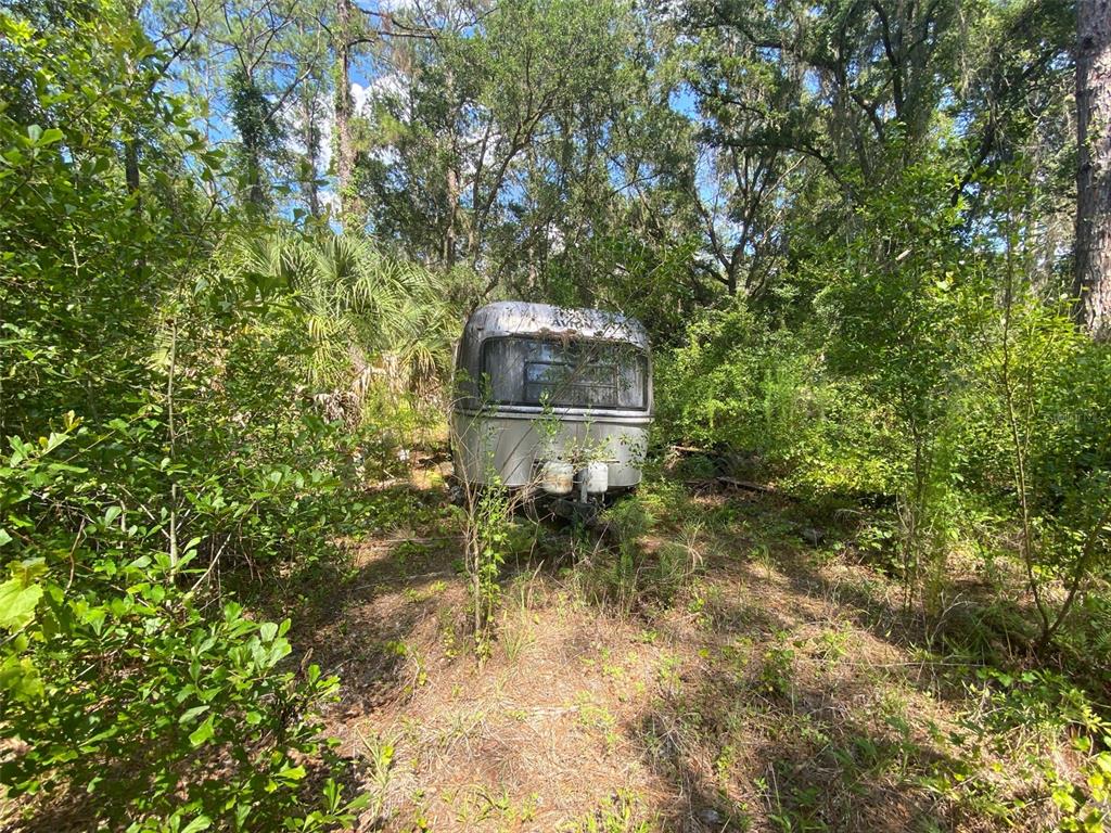 An old, weathered silver travel trailer sits abandoned in a dense, wooded forest area — 13701 NE 66TH AVENUE, CITRA, FL