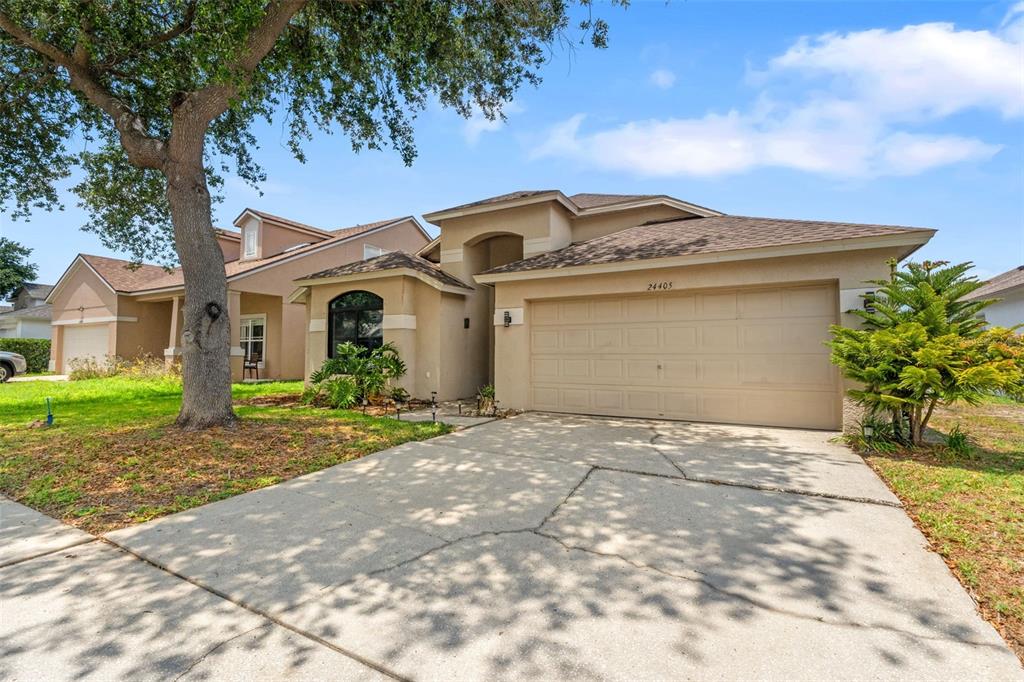 A tan single-story house with a two-car garage and a large tree in the yard — 24405 SUMMER WIND COURT, LUTZ, FL
