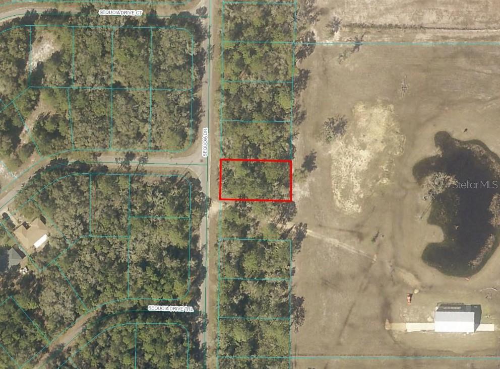 SEQUOIA DRIVE, OCKLAWAHA, FL — photo 2 of 4