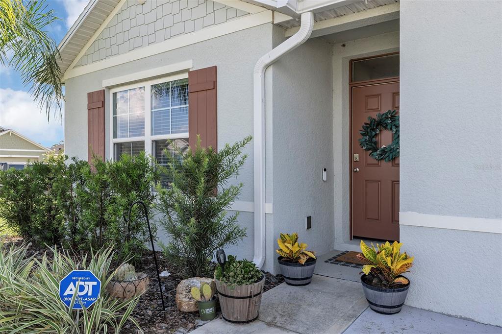 The exterior of a house features a brown front door, shutters, and potted plants — 3221 SILAS DRIVE, NEW SMYRNA BEACH, FL