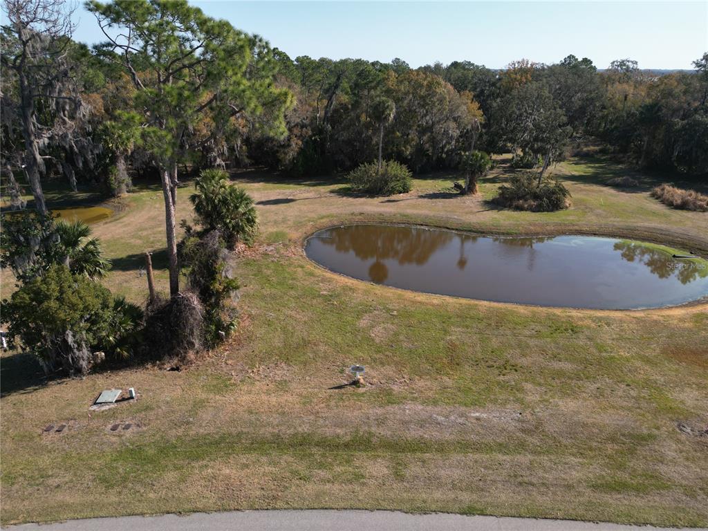 3672 HIDDEN RIVER LANE, TAVARES, FL — photo 3 of 25