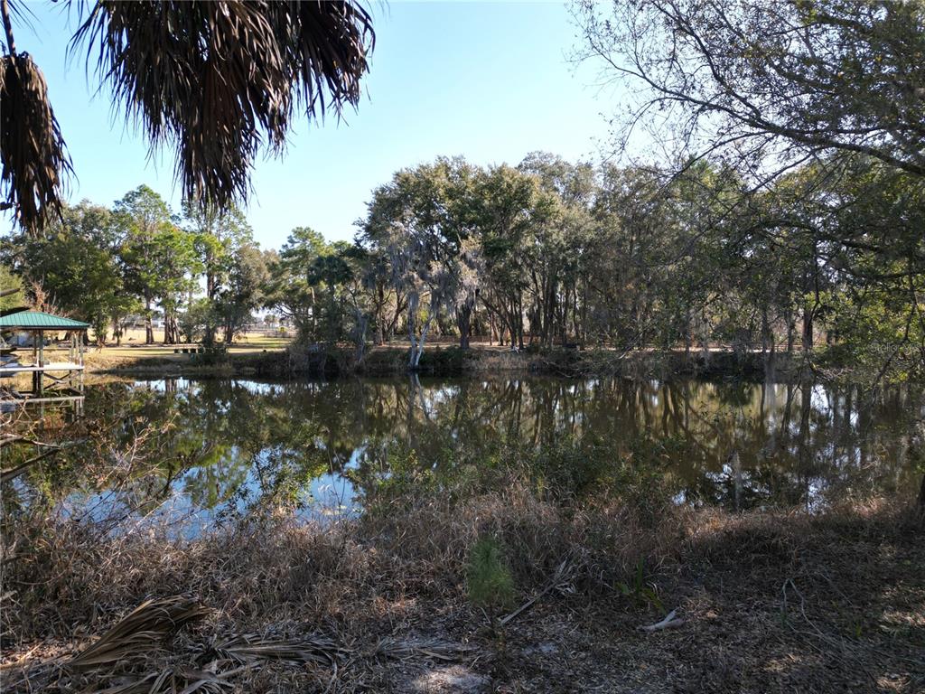 3672 HIDDEN RIVER LANE, TAVARES, FL — photo 5 of 25
