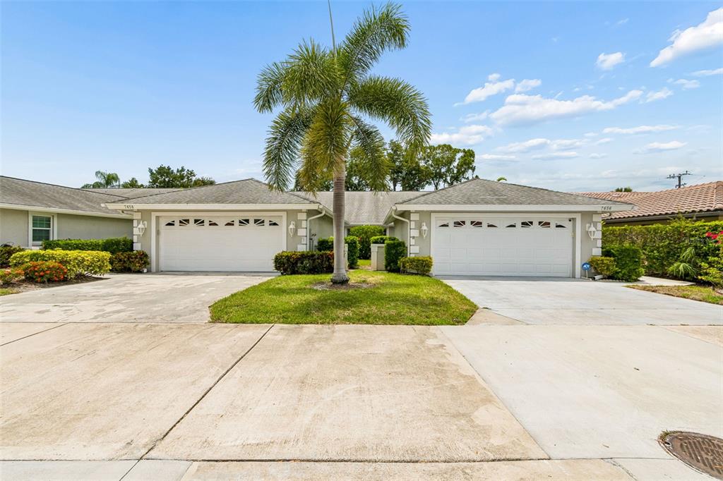 A view of two attached garages with concrete driveways and a central palm tree — 7656 PALM AIRE LANE, SARASOTA, FL