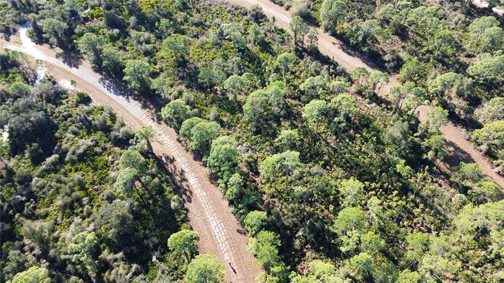 An aerial view shows a dirt path winding through a wooded area with pine trees — CODY CIRCLE, NORTH PORT, FL