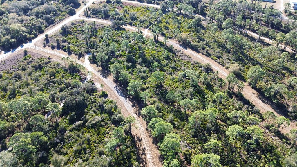 An aerial view shows a wooded lot with dirt roads winding through the trees — CODY CIRCLE, NORTH PORT, FL