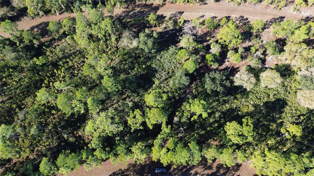 An aerial view shows a wooded lot with a dirt road and a parked vehicle — CODY CIRCLE, NORTH PORT, FL