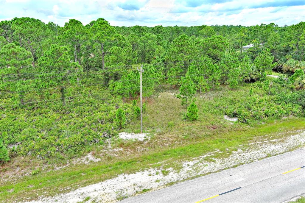 An aerial view shows a vacant, wooded lot bordering a paved road with a utility pole — 702 EISENHOWER BOULEVARD, LEHIGH ACRES, FL