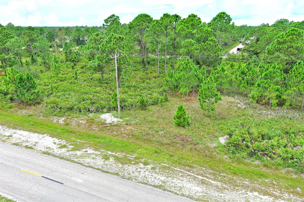 An aerial view shows a vacant, wooded lot adjacent to a paved road — 702 EISENHOWER BOULEVARD, LEHIGH ACRES, FL
