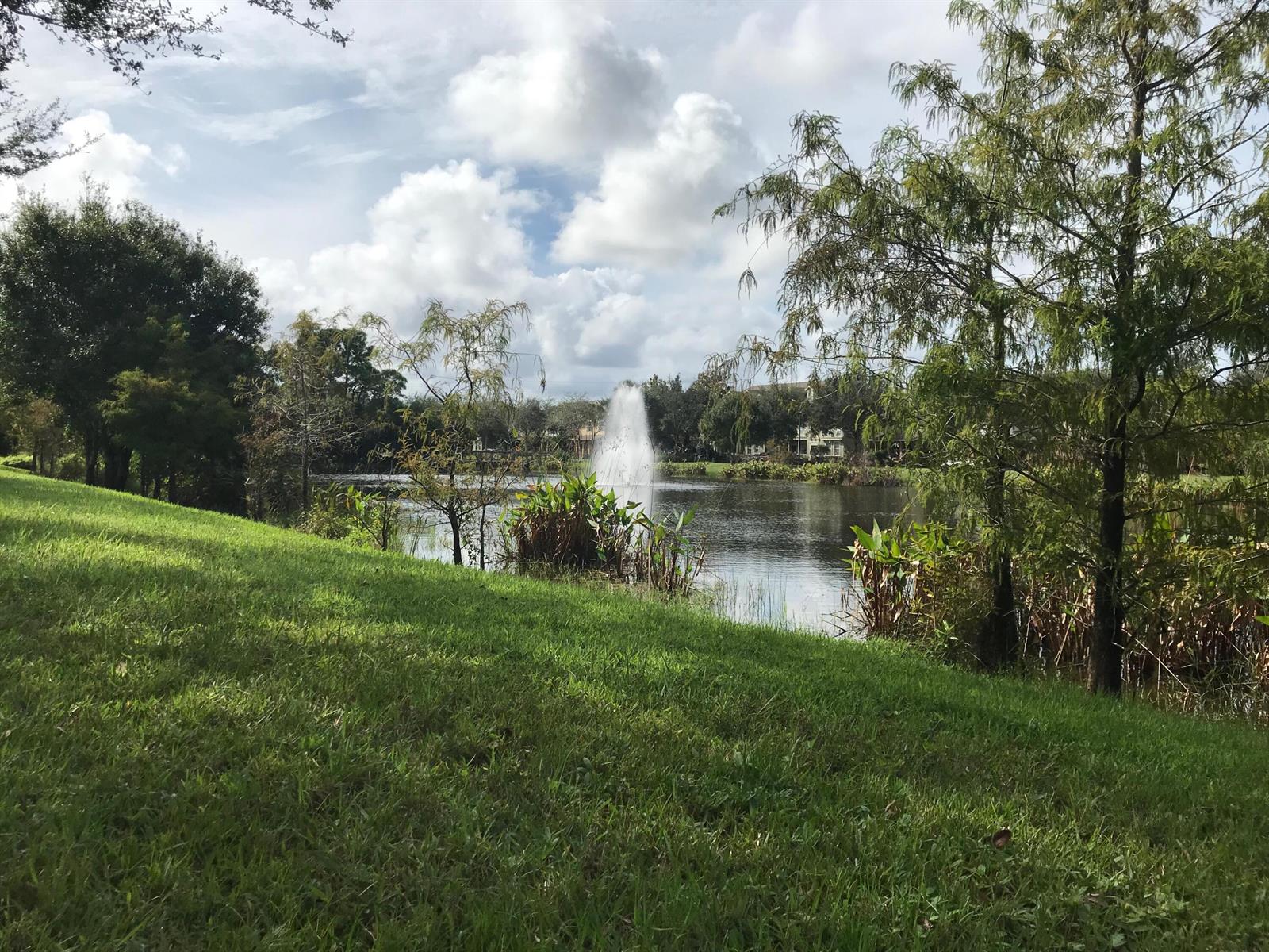 A grassy hill overlooks a pond with a fountain and surrounding trees under a cloudy sky — 141 E Thatch Palm Circle, Jupiter FL 33458, JUPITER, FL