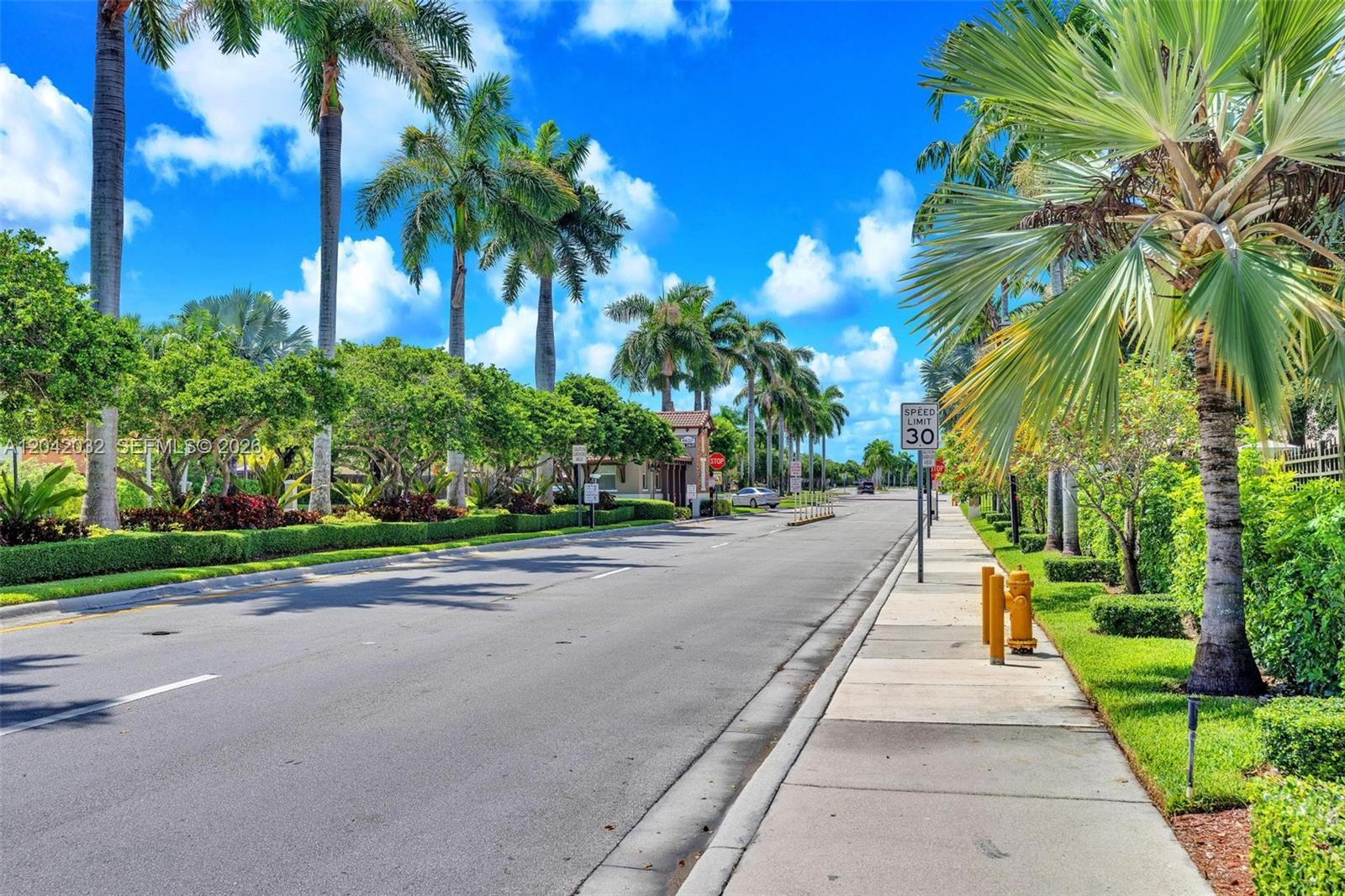 A paved road lined with palm trees and a sidewalk with a fire hydrant — 9011 SW 227th St # 1, Cutler Bay FL 33190, CUTLER BAY, FL