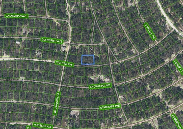 This is an aerial map showing a highlighted vacant lot located along a residential street — 354 CARTIER AVENUE, LAKE PLACID, FL