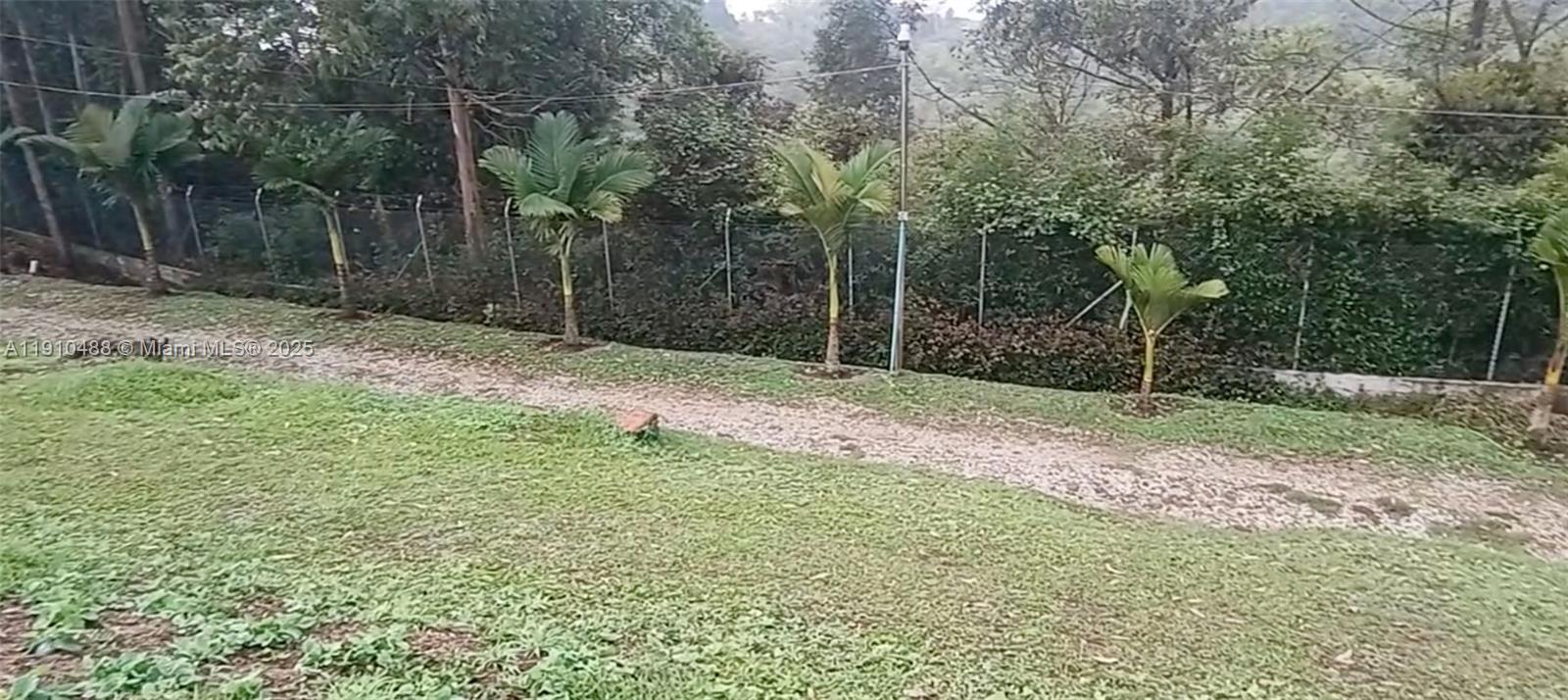 A gravel path runs through a grassy yard lined with small palm trees and fencing — Vereda Mampuesto Sector Garrido #2, C Colombia, C