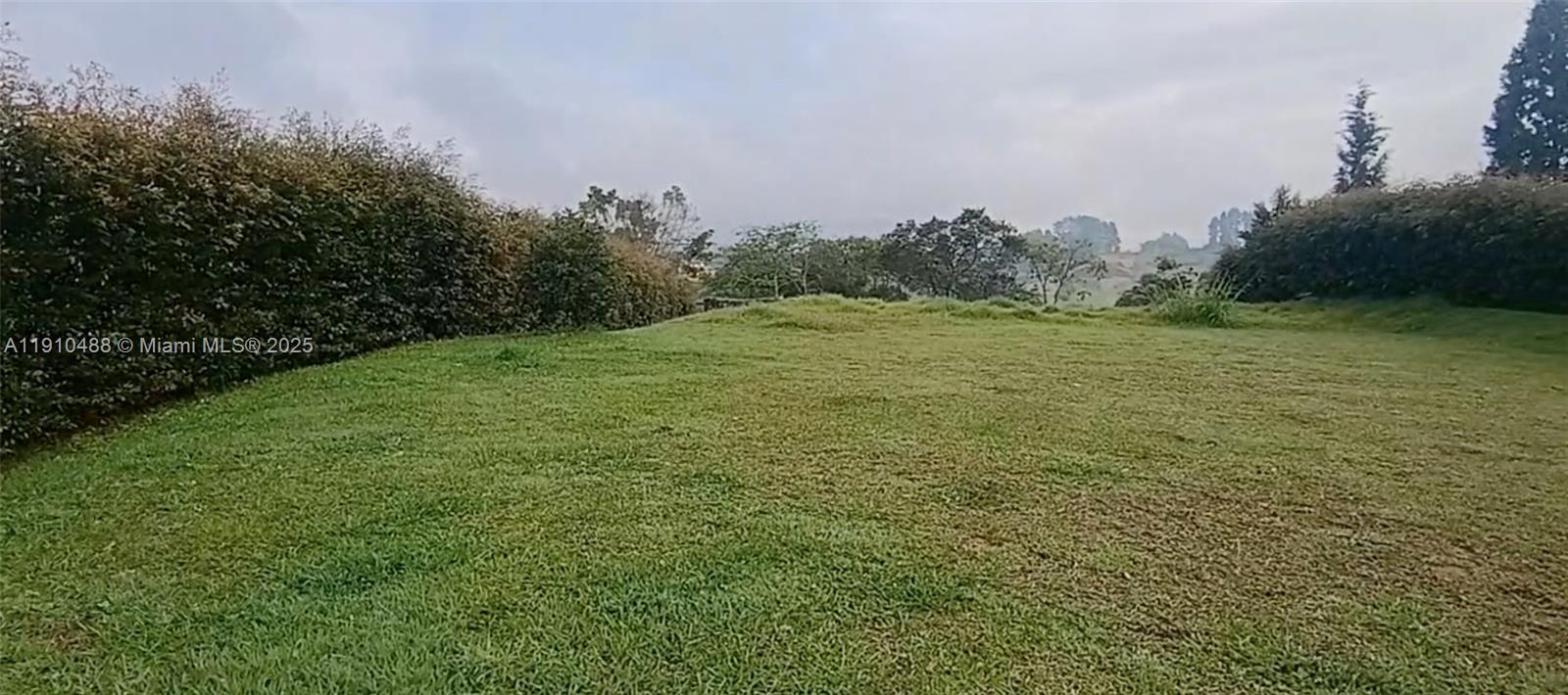 A grassy, open field is bordered by dense hedges and trees under a cloudy sky — Vereda Mampuesto Sector Garrido #2, C Colombia, C