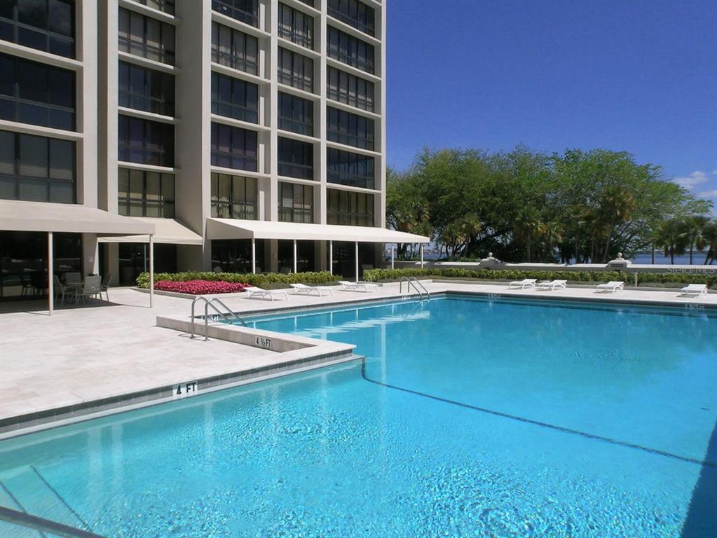 A multi-story building overlooks a large swimming pool with lounge chairs on the deck — 3301 BAYSHORE BOULEVARD UNIT 505C, TAMPA, FL