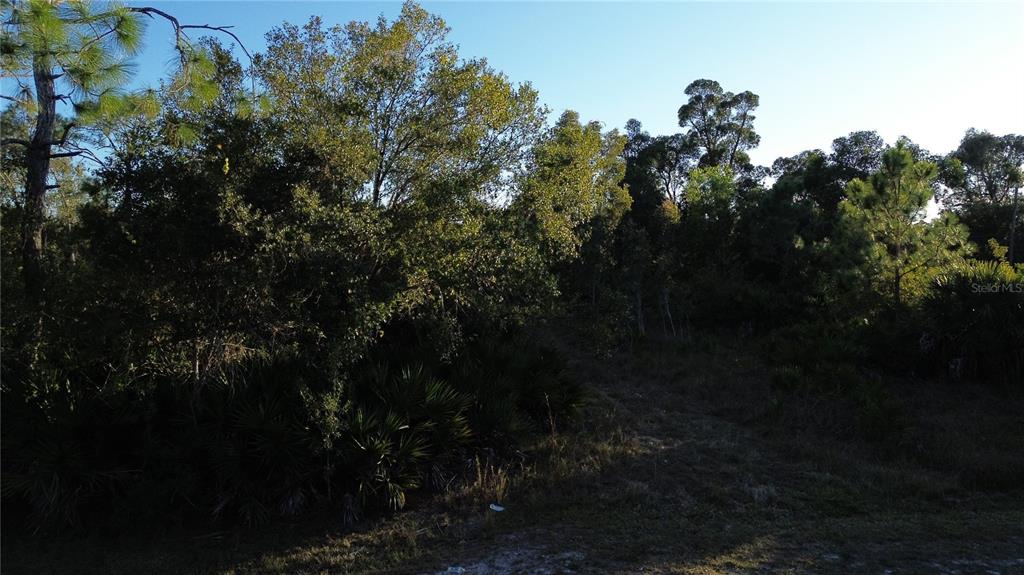 A view of a densely wooded, undeveloped lot with native trees and shrubs — 27481 SENATOR DRIVE, PUNTA GORDA, FL