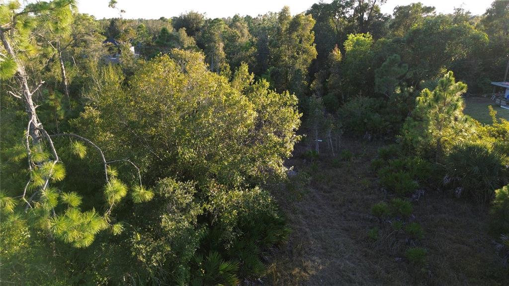 An aerial view of a wooded lot with dense trees and a grassy clearing — 27481 SENATOR DRIVE, PUNTA GORDA, FL