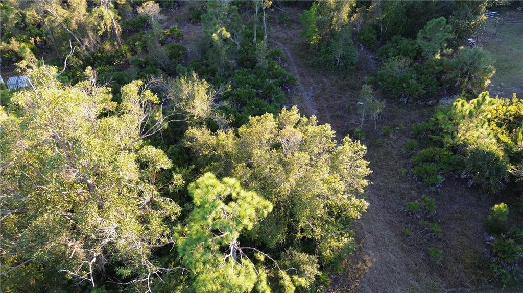 An aerial view shows a wooded lot with a dirt path winding through the trees — 27481 SENATOR DRIVE, PUNTA GORDA, FL
